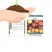 Golden Detroit Beet Seeds - 2 Gram Packet - Non-GMO, Heirloom - Root Vegetable Gardening Seeds   565431912